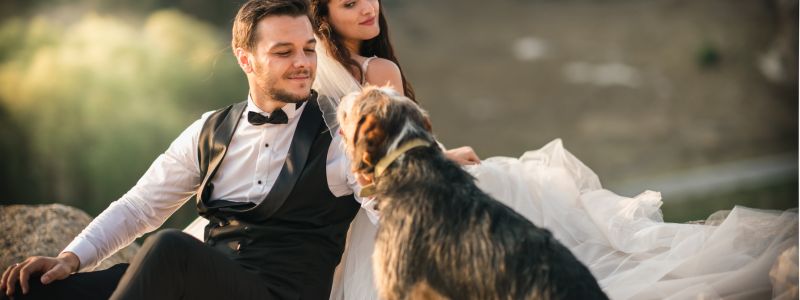 Dog Friendly wedding The Pier House