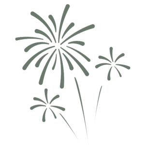 New Years Eve fireworks